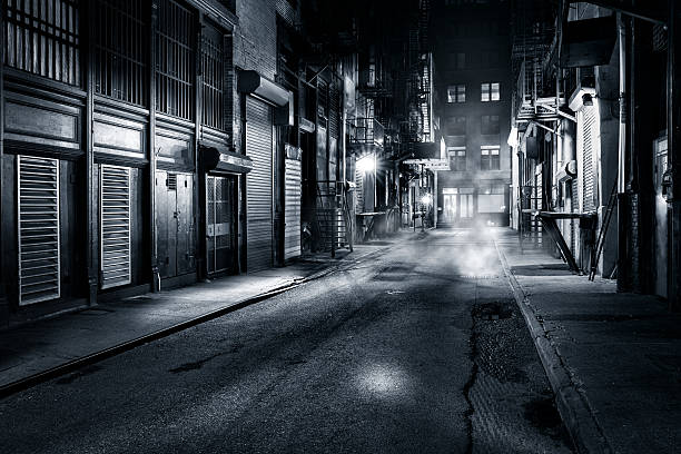 Moody monochrome view of Cortlandt Alley by night, in Chinatown, New York City